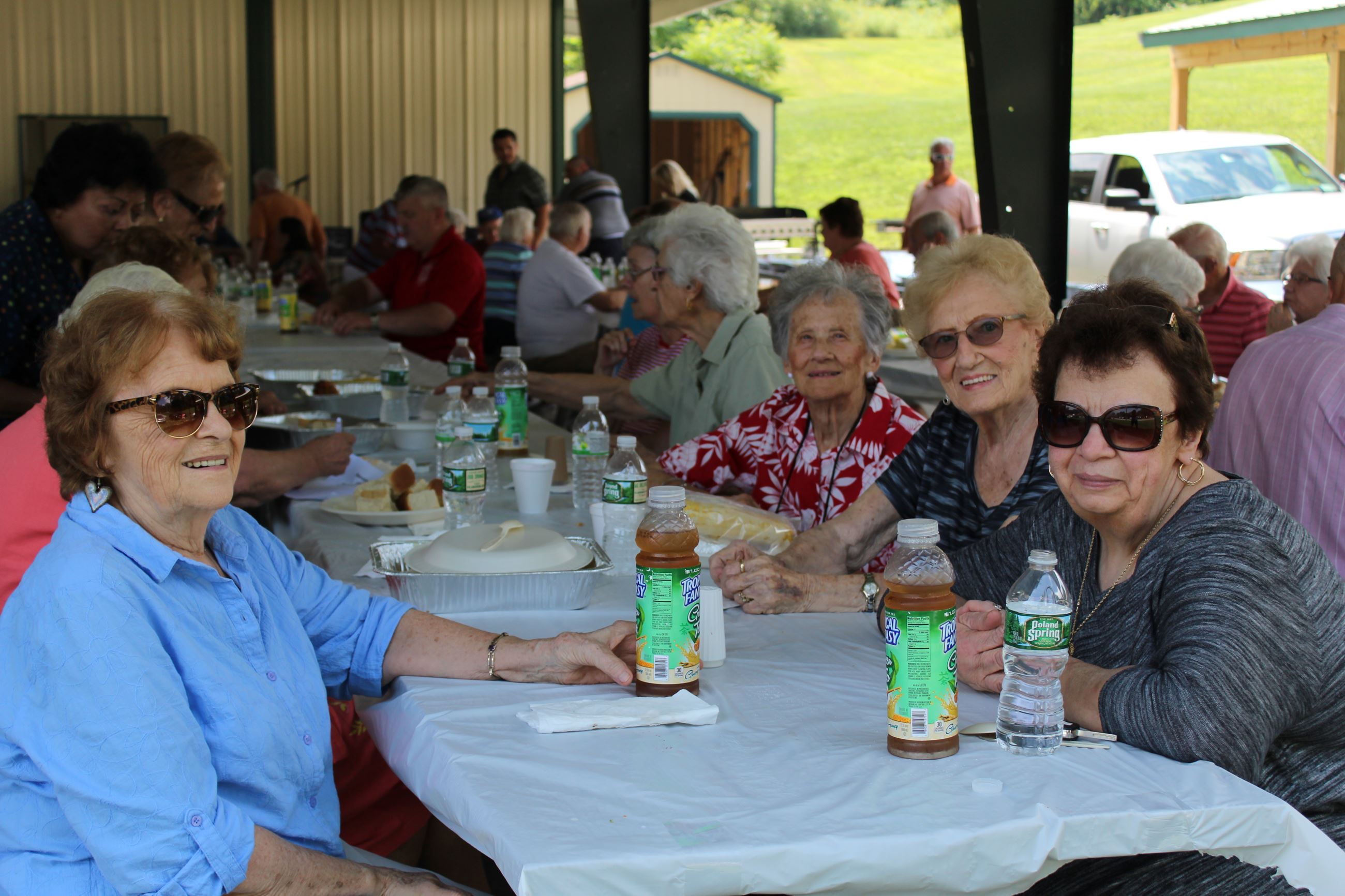 Senior Picnic 2017 001