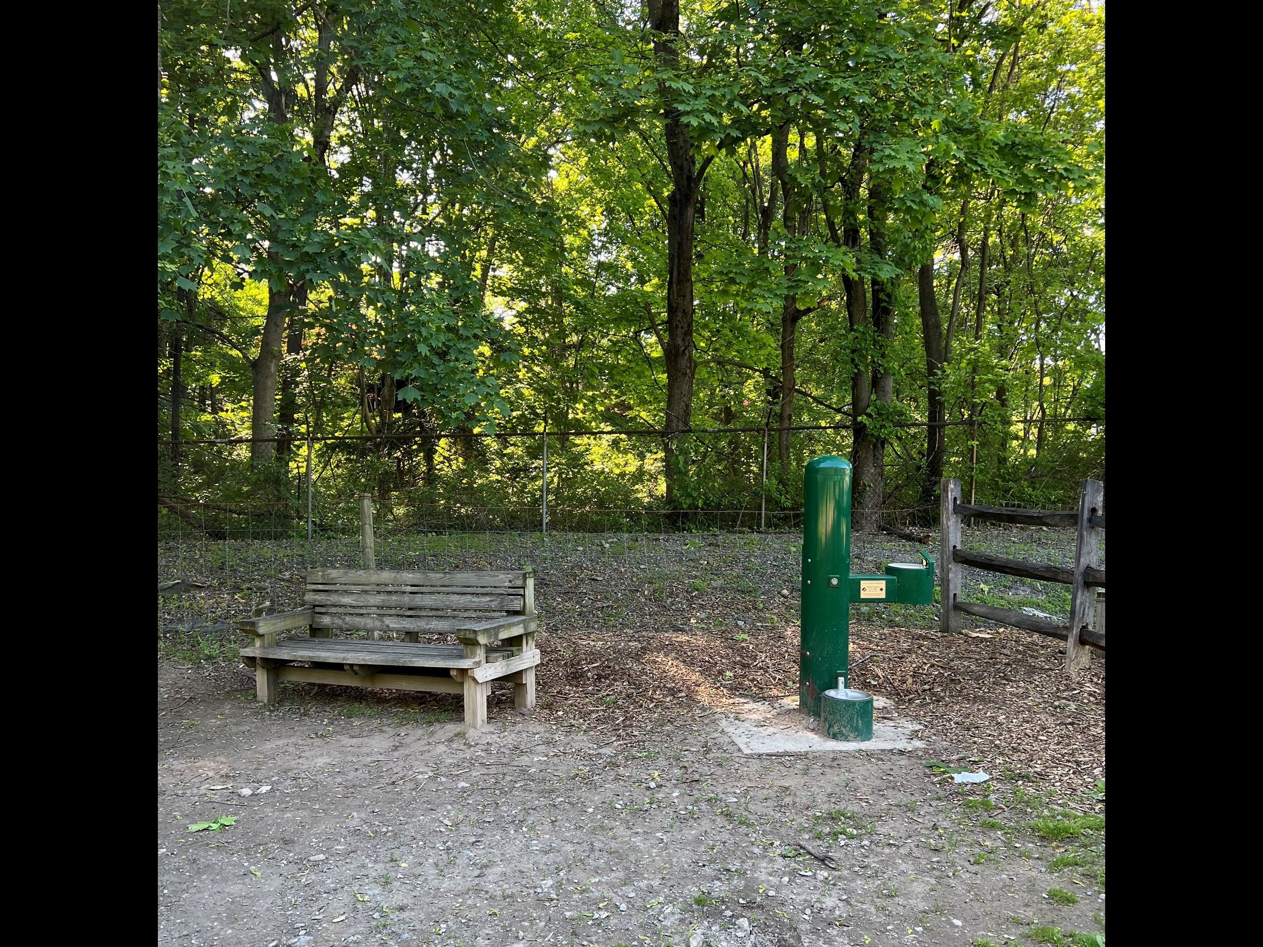 Bench and Water Fountain at Dog Park