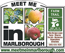 Meet Me in Marlborough Opens in new window